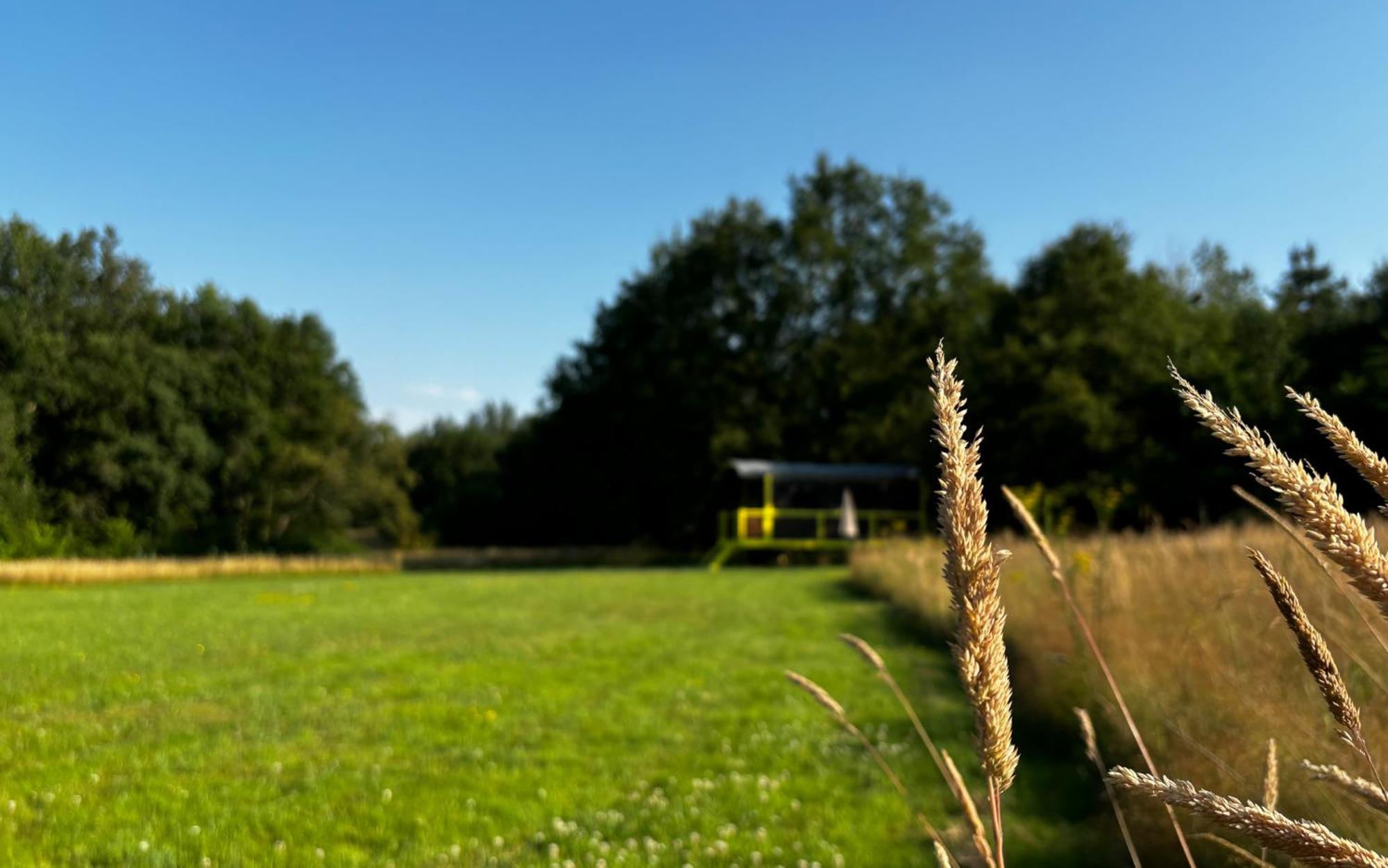 Domaine De La Grangee Villa La Chapelle-Blanche-Saint-Martin Exteriör bild